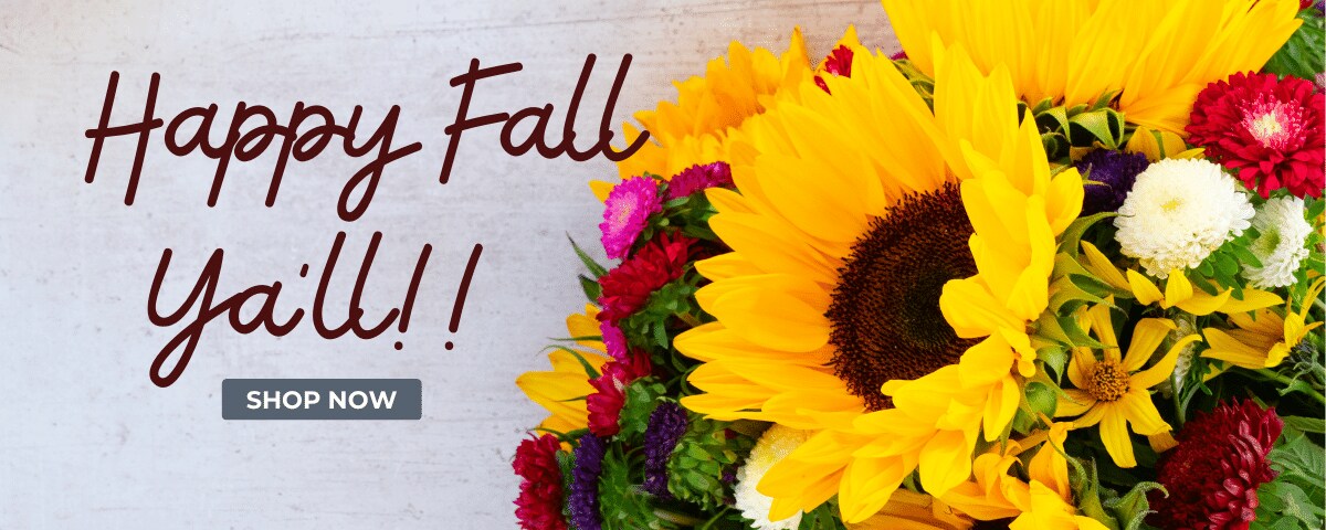 Fall Flowers